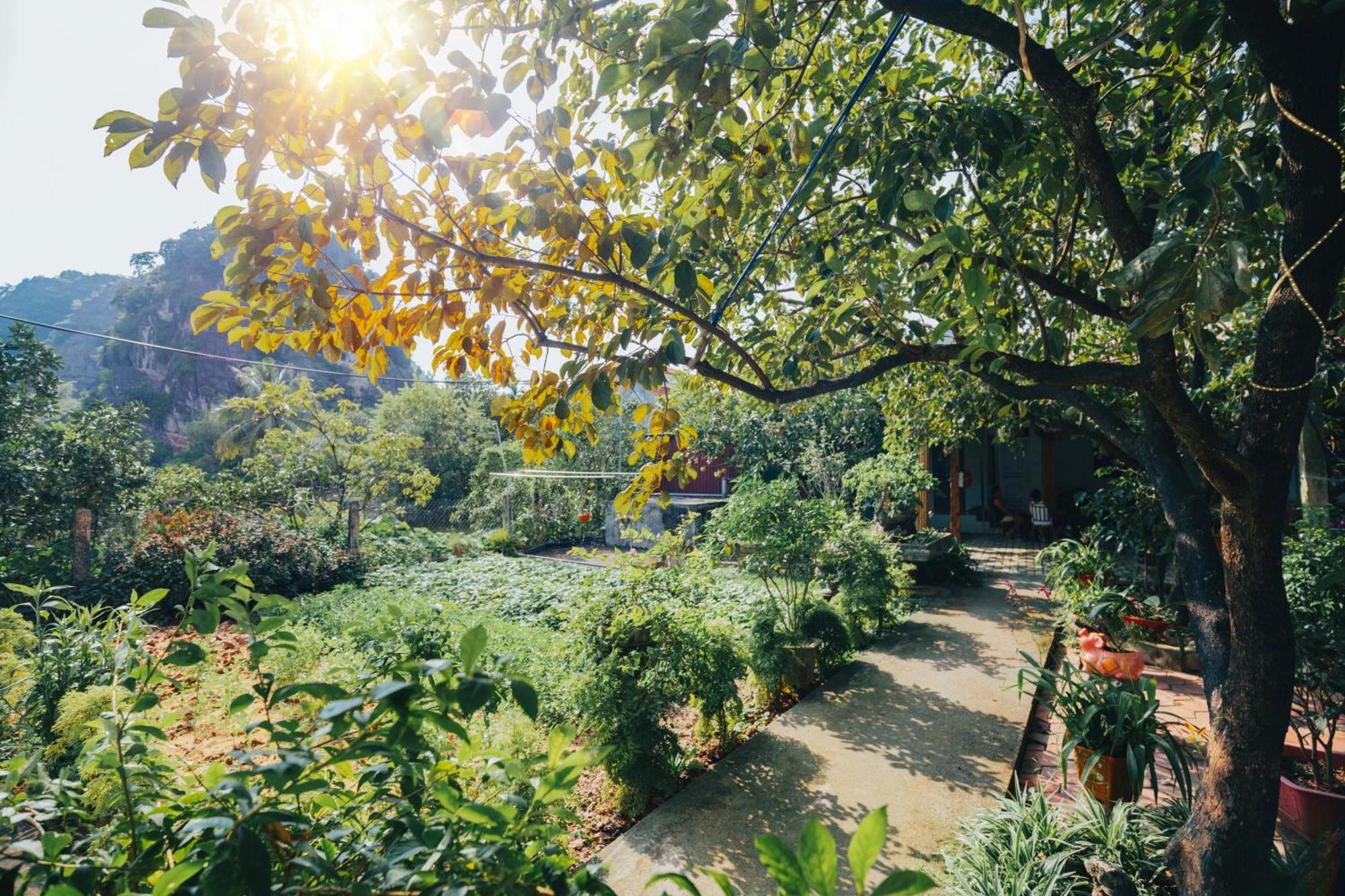 Blue Garden Homestay ニンビン エクステリア 写真