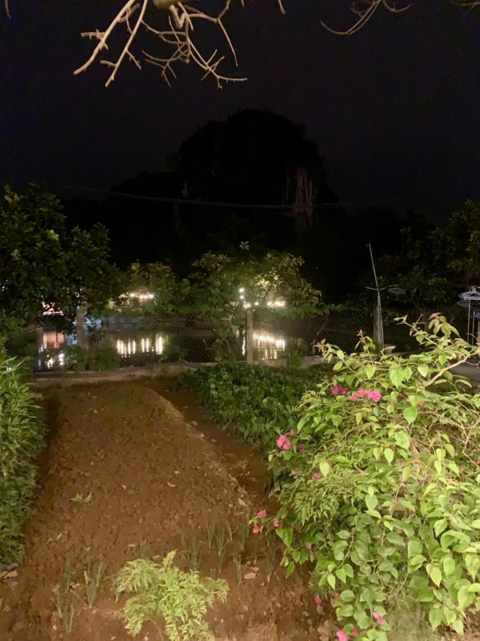 Blue Garden Homestay ニンビン エクステリア 写真