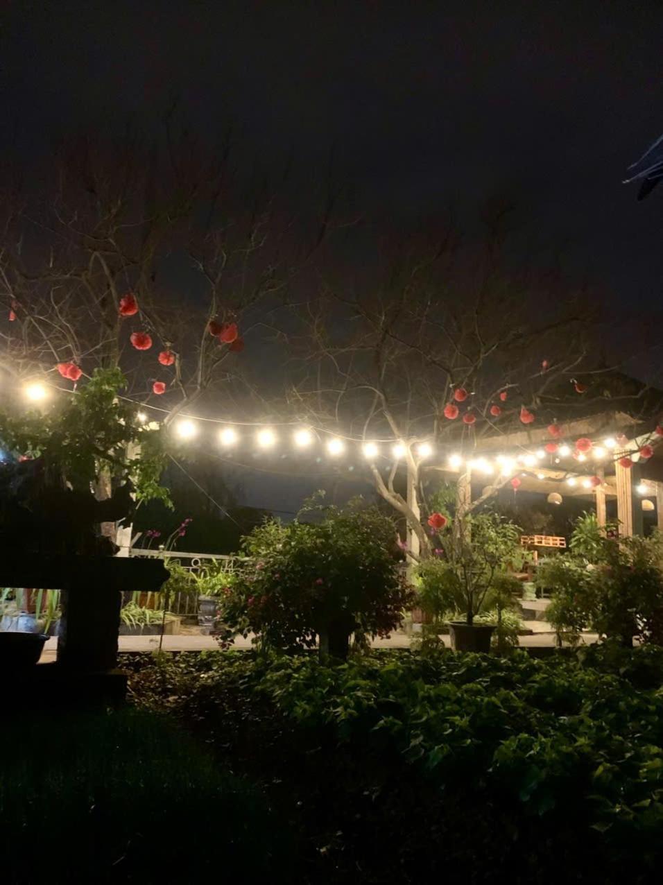 Blue Garden Homestay ニンビン エクステリア 写真