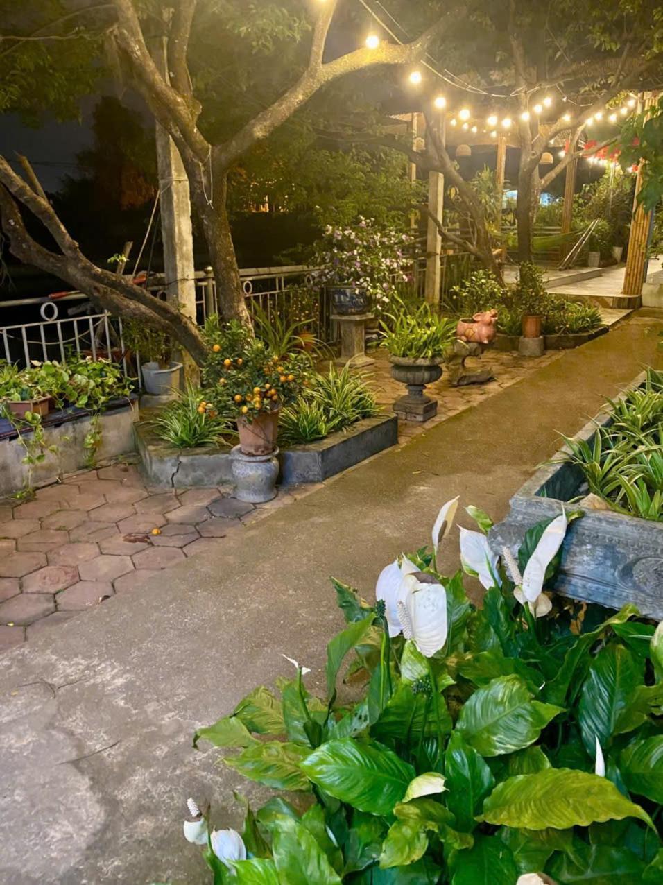 Blue Garden Homestay ニンビン エクステリア 写真