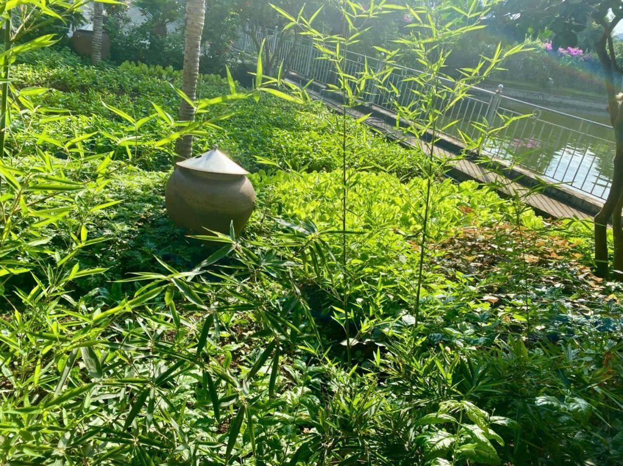 Blue Garden Homestay ニンビン エクステリア 写真